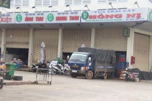 Revenue from warehouse and transportation support services earned more than 4.6 trillion dong