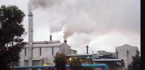 Strengthen the environmental inspection and audit