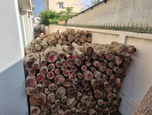 Công tác quản lý, bảo vệ, phát triển rừng còn nhiều khó khăn, bởi các vụ vi phạm ngày càng nhiều và diễn biến phức tạp