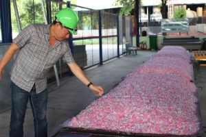 Drafting Dong Nai's Emission Reduction Program