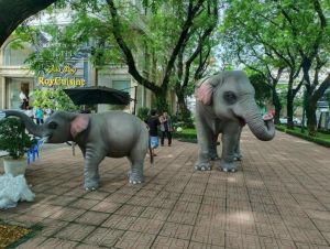 Nhiều sự kiện liên quan đến bảo tồn voi