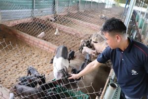 Nghị lực vươn lên làm giàu