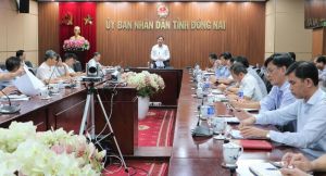 Xây dựng kế hoạch giải ngân nguồn vốn chi tiết đối với từng dự án đầu tư công