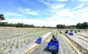 Doanh nghiệp vẫn xem Đồng Nai là điểm đến hấp dẫn