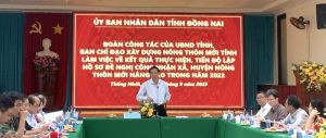 Phó Chủ tịch UBND tỉnh Võ Văn Phi làm việc với H.Thống Nhất về xây dựng nông thôn mới