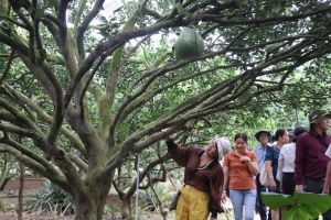 H.Vĩnh Cửu gắn lợi thế nông nghiệp làm du lịch