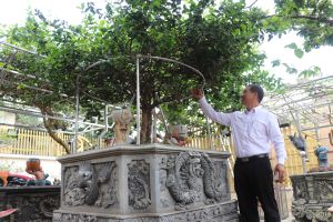 Người tạo nên “thương hiệu” hoa nhài Việt Nam