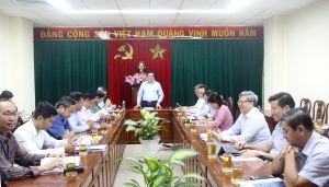 Đảm bảo tiến độ triển khai các hoạt động trong Tuần lễ Chuyển đổi số Đồng Nai