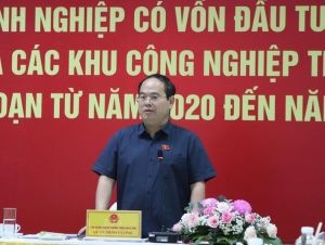 Đoàn giám sát việc thực hiện chính sách, pháp luật về đầu tư đối với doanh nghiệp có vốn đầu tư nước ngoài