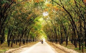 H.Thống Nhất: Tổ chức hội thi sáng tác biểu trưng của huyện