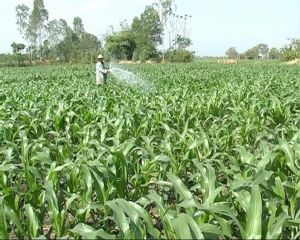 Đạt 80% mục tiêu Nghị quyết Đại hội Đảng bộ tỉnh nhiệm kỳ 2020-2025 về xây dựng nông thôn mới