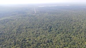 Promoting sustainable and green development