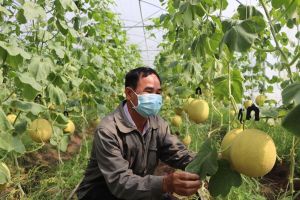 Huy động vốn từ doanh nghiệp, người dân xây dựng nông thôn mới