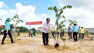 Đồng Nai căn bản hoàn thành mục tiêu trồng cây xanh nông thôn năm 2023