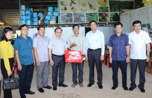 Tỉnh Bạc Liêu học tập kinh nghiệm xây dựng nông thôn mới ở Đồng Nai