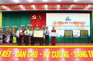 Đoàn kết, đồng lòng nâng chất tiêu chí nông thôn mới kiểu mẫu