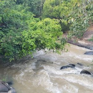 An increase in tourism service revenue