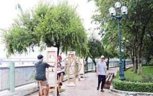 Quan tâm đầu tư xây dựng các thiết chế văn hóa, thể thao