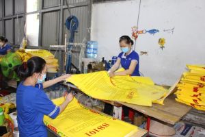 Nghiên cứu giải pháp thúc đẩy lao động nữ tham gia đổi mới sáng tạo