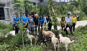 Hỗ trợ con giống cho hội viên phụ nữ khó khăn