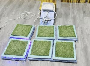 3 giải pháp của Đồng Nai đạt giải cuộc thi Sáng tạo thanh, thiếu niên - nhi đồng toàn quốc