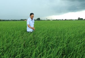 New expectations for collective economic development