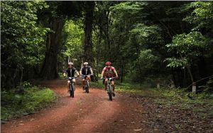 Quảng bá di sản, phát triển du lịch