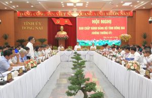 Xem xét, cho ý kiến về quy hoạch tỉnh Đồng Nai thời kỳ 2021-2030, tầm nhìn đến năm 2050