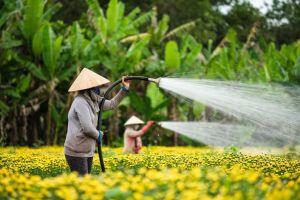 Huy động sức mạnh toàn dân trong vùng đồng bào tôn giáo ở huyện Thống Nhất