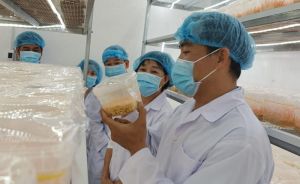 Vận động các tầng lớp nhân dân ưu tiên dùng hàng Việt Nam