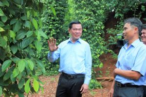 Huyện Cẩm Mỹ nhân rộng mô hình sản xuất hữu cơ