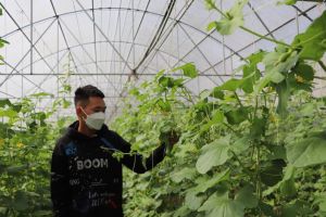 Implementing 62 efficient agricultural models
