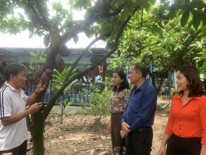 Kết nối đầu ra cho nông sản tại thị trường nông thôn