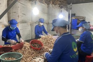 Đẩy mạnh hợp tác với châu Phi trong ngành nông sản