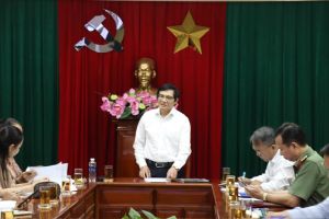 Nhiều hoạt động trong Tuần lễ văn hoá kỷ niệm 325 năm Biên Hoà - Đồng Nai