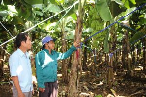 Phát huy vai trò của người có uy tín ở xã Sông Trầu