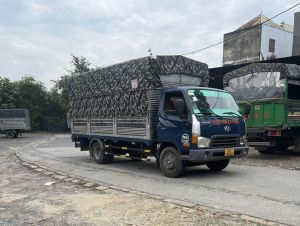 Ngành vận tải trông đợi thị trường cuối năm