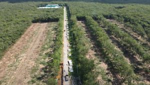 Dự kiến khởi công khu tái định cư Long Phước trong tháng 12-2023