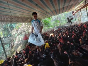 安全な生物学とハイテクを目指した家畜協同組合の構築