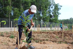 Cần có quy định xử lý nạn khai thác giun đất để bảo vệ sản xuất