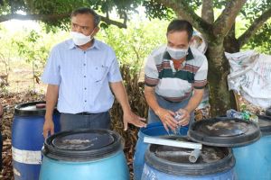 The entire province has 1,454 hectares of organically produced crops