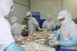 Dong Nai province provides the market with 70 thousand tons of meat products