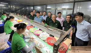 Kỷ niệm 34 năm Ngày thành lập Hội Cựu chiến binh Việt Nam (12/1989 - 12/2023): Phát huy bản chất “Bộ đội Cụ Hồ” trong tình hình mới