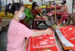 Triển vọng cho ngành sản xuất bao bì Việt