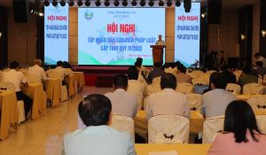 Tập huấn về tác động của mạng xã hội cho 200 báo cáo viên pháp luật cấp tỉnh
