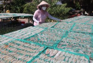 Kết nối tiêu thụ nông sản gắn với du lịch