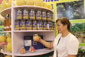 促进与非洲农产合作关系