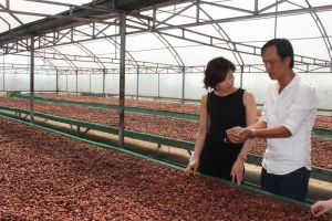 The province has established 22 approved production chain projects