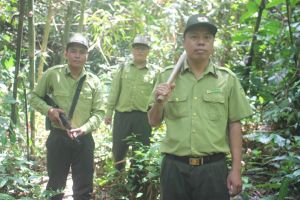 Ngăn vi phạm về khai thác, bảo vệ rừng, nguồn lợi thủy sản