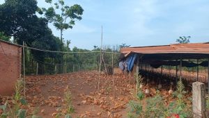 The goal of establishing 2 thousand cooperatives each year